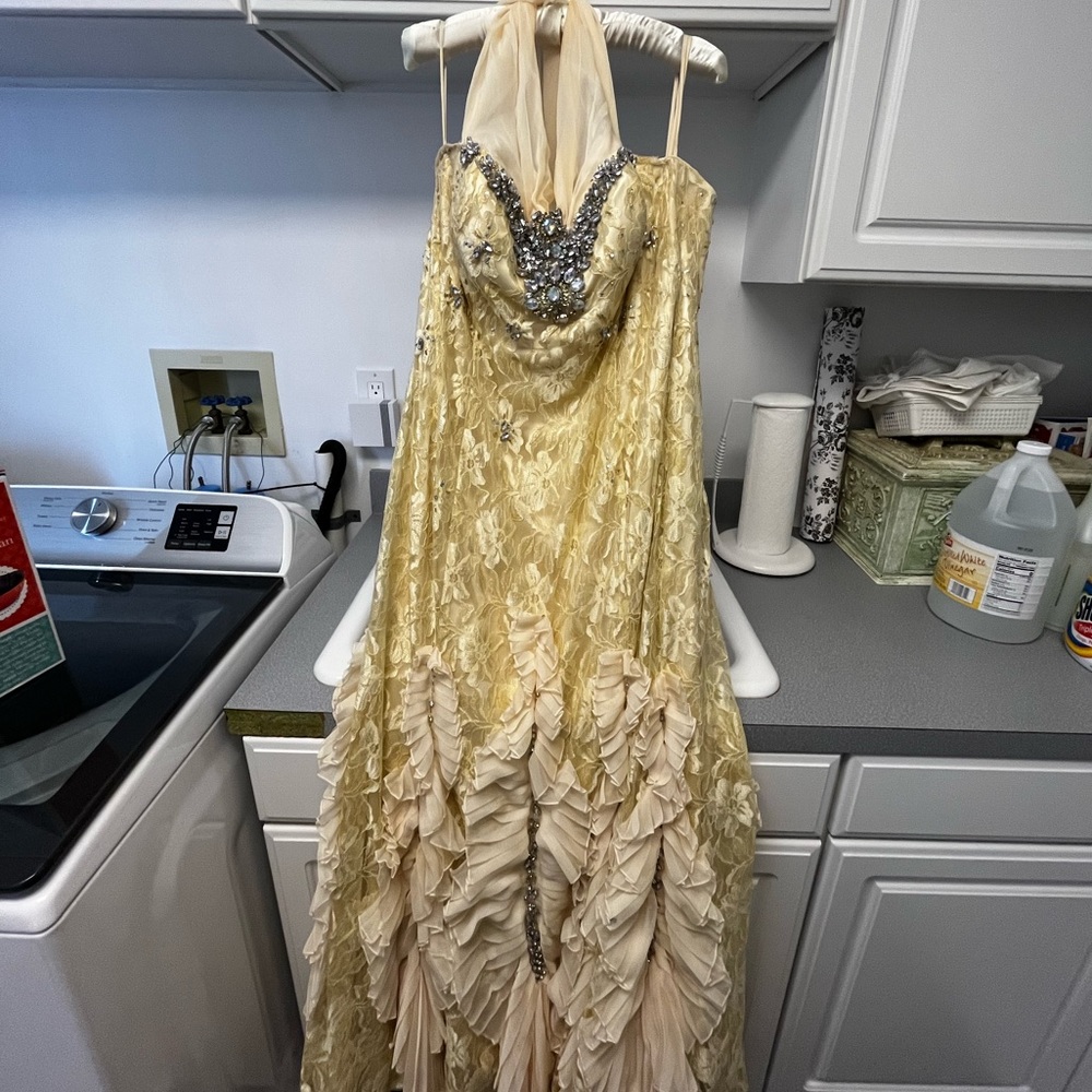 Terani Couture Gown